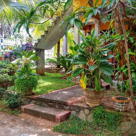 Sigiri Regal Residence Sigiriya Luaran gambar